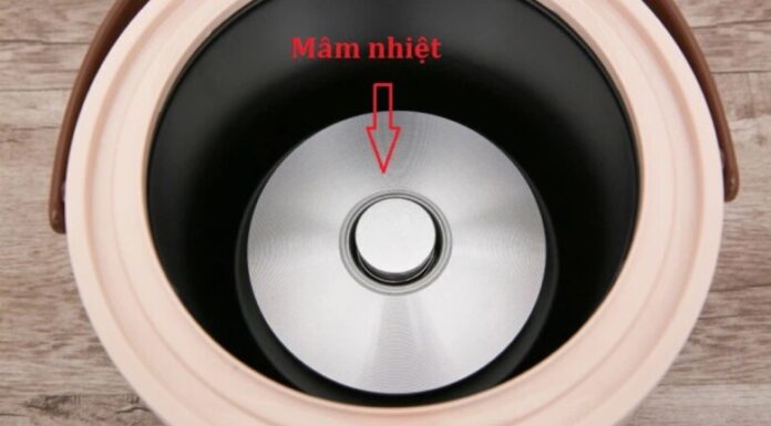 “The Ultimate Guide to Mastering Your Rice Cooker: A 20-Year Journey to Unlocking Energy Efficiency.”