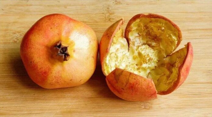 “Transform Pomegranate Peels: A 3-Day Vinegar Soak for a Multitude of Household Solutions”