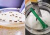 The Ultimate Guide: Keep Ants Away from Your Sugar Jar with a Spoon