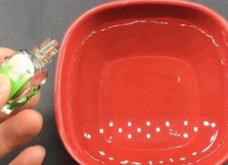 The Magic Elixir: A Bedside Companion for a Pest-Free Slumber