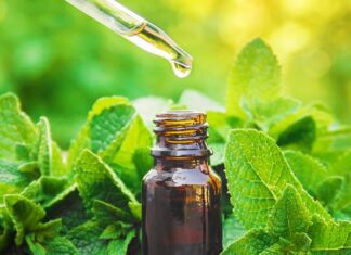 The Ultimate Guide: 4 Natural Ways to Keep Spiders Out of Your Home for Good