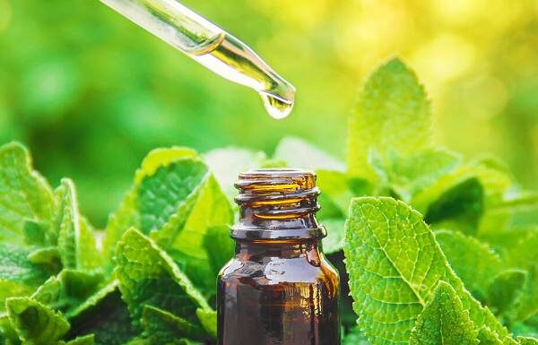 The Ultimate Guide: 4 Natural Ways to Keep Spiders Out of Your Home for Good