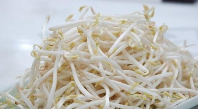 The Top 5 Calcium-Rich Vegetables for Bone Health