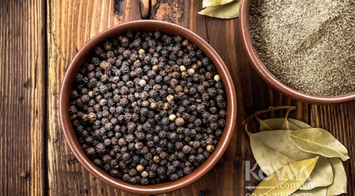Today’s Peppercorn Price Update: Prices Surge, Hovering Between 74,500 – 78,000 VND/kg