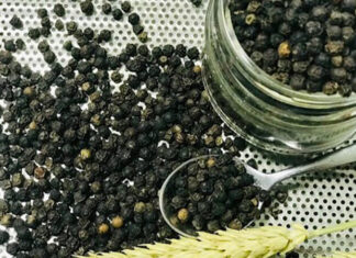 Today’s Pepper Prices, August 31st: Domestic Stability Maintains at Peak of 78,000 VND/kg