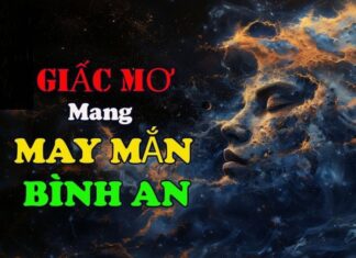 The 3 Dreams that Bring Wealth: Unlocking the Fortune Within