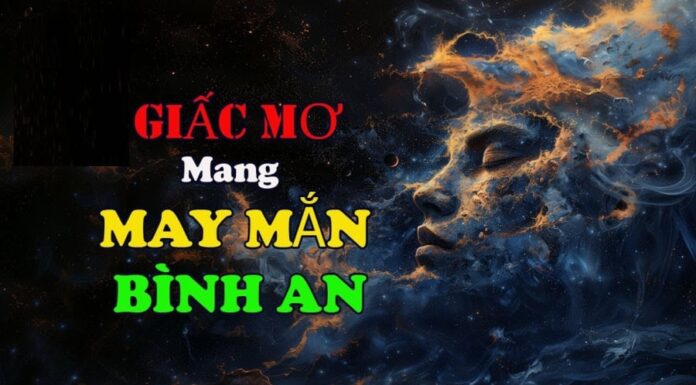 The 3 Dreams that Bring Wealth: Unlocking the Fortune Within