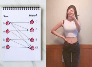 The Ultimate Guide to Weight Loss: Tailored to Your Blood Type