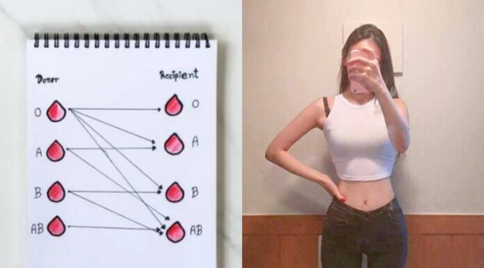 The Ultimate Guide to Weight Loss: Tailored to Your Blood Type