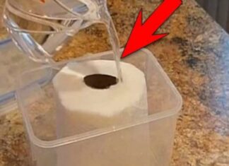 The Magic of White Vinegar and Toilet Paper: A Surprising Hack You’ll Want to Try