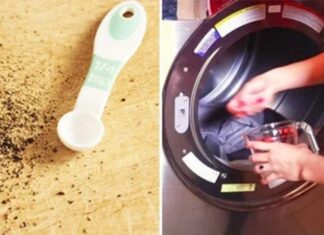 “The Creative Kid and the Pepper Shaker”