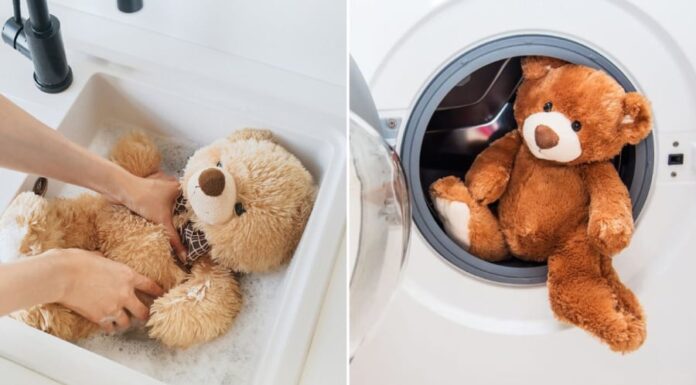 How to Wash Your Stuffed Animal at Home: Quick-Drying and Fluff-Retaining Techniques