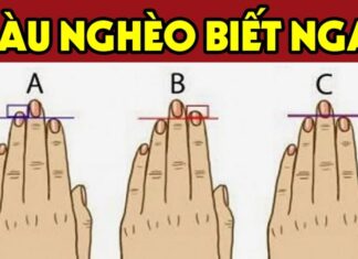 The Length of Your Index Finger Predicts Your Destiny: Are You Destined for Greatness or a Life of Struggles?