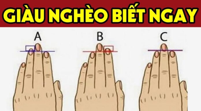 The Length of Your Index Finger Predicts Your Destiny: Are You Destined for Greatness or a Life of Struggles?