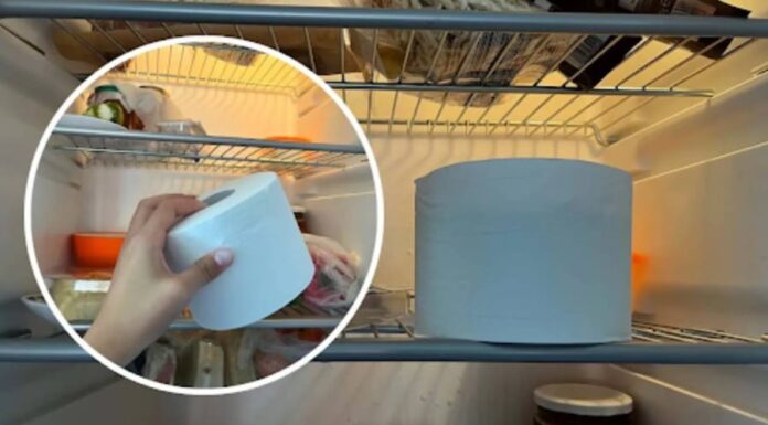 The Ultimate Guide to Energy Efficiency: A Cool Way to Cut Costs