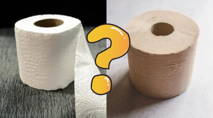 What’s Better: White or Yellow Paper?