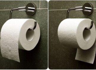 The Great Toilet Paper Debate: In or Out?