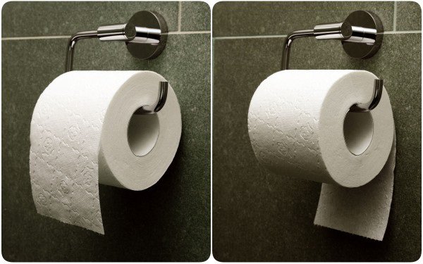 The Great Toilet Paper Debate: In or Out?