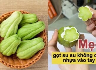 4 Surefire Methods to Peel Chayote Without the Sticky Residue