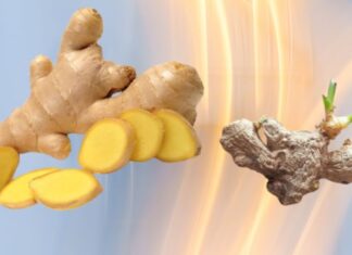 The Ultimate Guide to Ginger Storage: Keep Your Ginger Fresh, Sprout-Free, and Mold-Free All Year Long