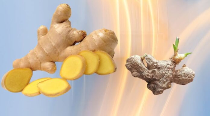 The Ultimate Guide to Ginger Storage: Keep Your Ginger Fresh, Sprout-Free, and Mold-Free All Year Long