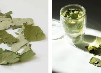 The Magic of Green Herbs: A Natural Fat-Burning and Skin-Whitening Remedy from Vietnam.