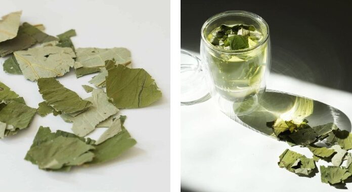 The Magic of Green Herbs: A Natural Fat-Burning and Skin-Whitening Remedy from Vietnam.