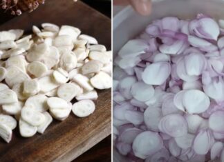 How to Cut Onions for the Crispiest, Golden-Brown Fried Onions: Horizontal or Vertical Slices?