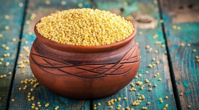 What are Millet Grains? Benefits and How to Use Them Properly.