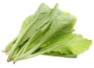 The Magic of Soup: A Mother-in-Law’s Fiery Temper and Her Secret Recipe