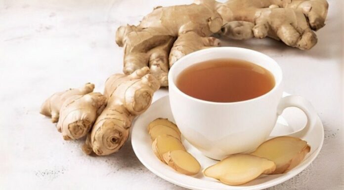 “The 95kg Girl’s Secret: No Diet, No Exercise, Just This One Food Addition for a 2kg Loss in 3 Days”