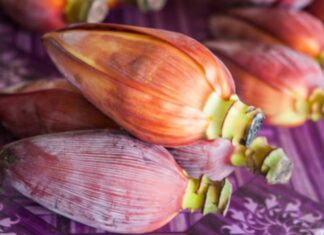 The Ultimate Guide to Chopping Banana Flowers: Keep Them White and Crisp for Longer