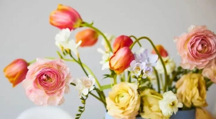 The Magic Potion: 3 Simple Steps to Revive Wilting Flowers