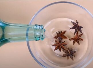 The Magic of White Vinegar-Soaked Fennel: Unveiling the Surprising Benefits.