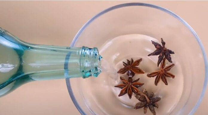 The Magic of White Vinegar-Soaked Fennel: Unveiling the Surprising Benefits.