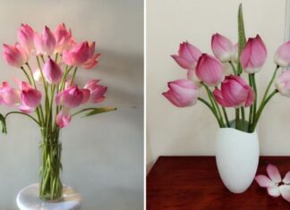The Ultimate Guide to Arranging Blooming Lotuses that Last