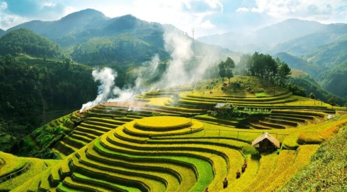The Golden Harvest Season is Upon Us, Don’t Miss the Breathtaking “Yellow Season” of Hoàng Su Phì.