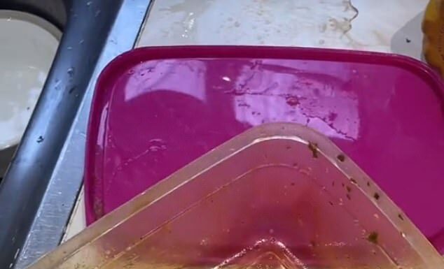 The Ultimate Guide to Cleaning Plastic Containers Without Dish Soap: Does it Really Work?