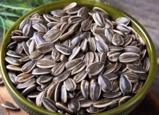 The Ultimate Guide to Selecting the Tastiest and Safest Sunflower Seeds for the Holidays