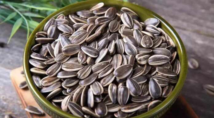 The Ultimate Guide to Selecting the Tastiest and Safest Sunflower Seeds for the Holidays