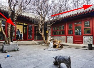 The Green Dragon’s Challenge: Crafting a Home Without Inviting the White Tiger’s Wrath, and the Generational Curse.