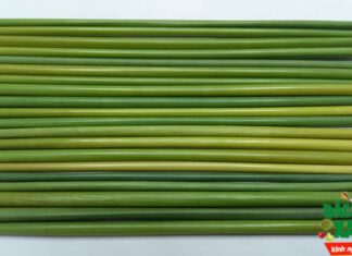 ‘Weed Whacking for a Greener Future’