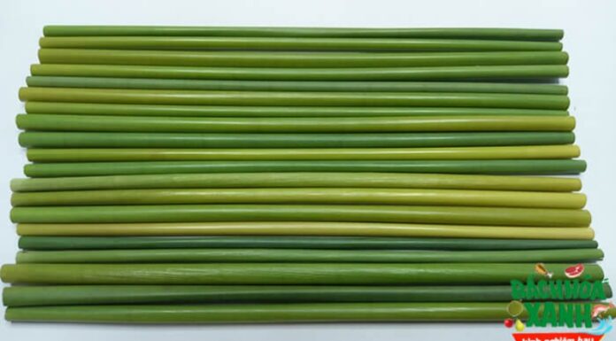 ‘Weed Whacking for a Greener Future’