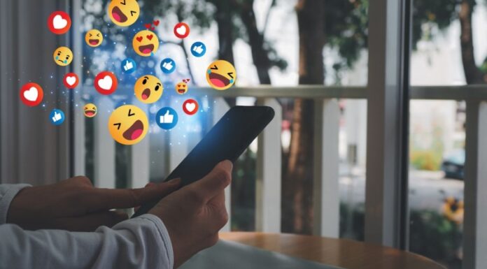 What is Van Life? What Are the Dangers of Living in a Van?