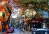 The Magic of Autumn in Hanoi: A Local’s Guide to Embracing the Season