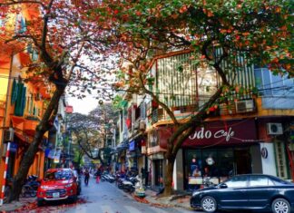 The Magic of Autumn in Hanoi: A Local’s Guide to Embracing the Season