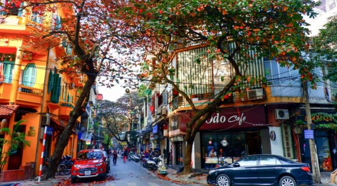 The Magic of Autumn in Hanoi: A Local’s Guide to Embracing the Season
