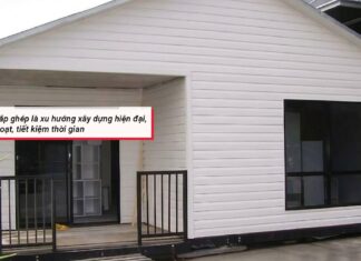 The Ultimate Guide to Wall, Ceiling, and Floor Paneling for Prefabricated Homes: Say No to Termites, Stay Safe, and Keep it Clean!