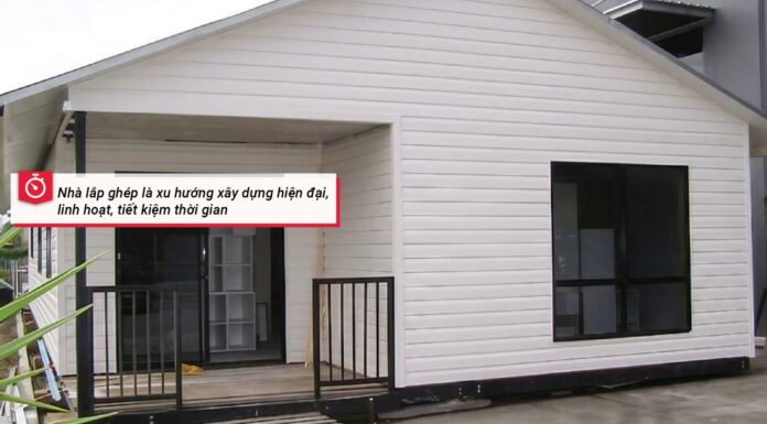 The Ultimate Guide to Wall, Ceiling, and Floor Paneling for Prefabricated Homes: Say No to Termites, Stay Safe, and Keep it Clean!