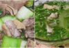 “The Master Chef’s Secret to a Divine Chicken Neck & Winter Melon Soup”